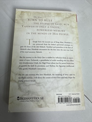 Chronicles of the Kings (Volumes 1-5) by Lynn Austin gods and kings & set lot - Picture 5 of 13