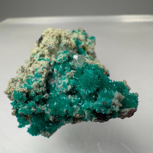 Superb Dioptase, Cerussite: Mammoth-St. Anthony Mine, Tiger., Arizona- Classic! - Picture 2 of 4