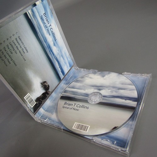 Brian T. Collins Spiral of Now CD - Picture 4 of 4