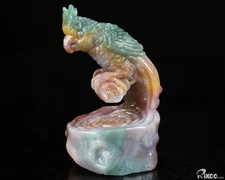 4.3" Indian Agate Hand Carved Crystal Parrot Sculpture, Crystal Healing
