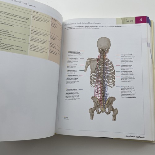 Atlas of Human Anatomy Clinical Ed. by B. Tillman & W. Elbermani Hardcover Book - Imagen 6 de 9