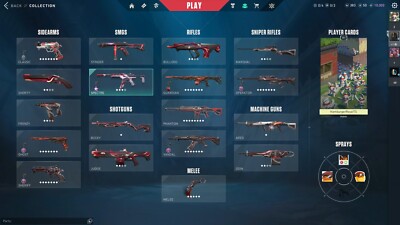 Valorant Account, EU, viele Skins, 8 Battle Pässe, Peak Dia3, Full Acces