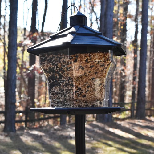 Black Recycled Plastic Hopper Wild Bird Feeder, Extra Large 6 lb. Capacity - Picture 8 of 9
