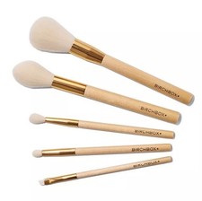 Set of 5 Birchbox Makeup Brushes Brand New Sealed