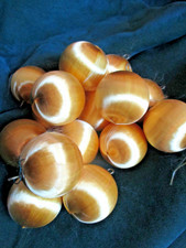 Lot of 15  Vtg GOLD Spun Satin Sheen CHRISTMAS Balls Tree Ornaments 2.5"