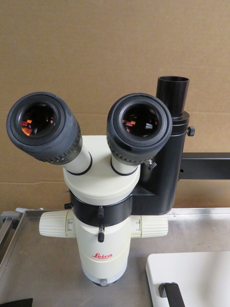Leica MZ7 5 Inspection Stereo Microscope 1.0X Objective Leica MZ7 5 Inspection Stereo Microscope 1.0X Objective