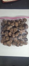 6 Pounds of Organic Black Walnuts Hulled and Washed