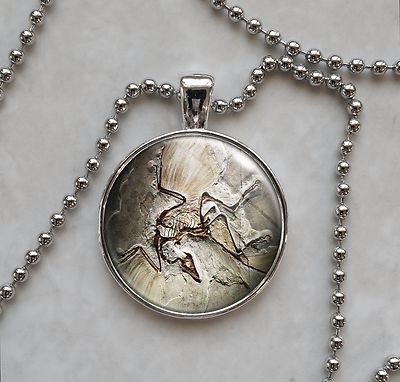 Archaeopteryx Dinosaur Bird Fossil Pendant Necklace
