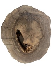 Unique Turkish Walnut Round Slab with Natural Hole for Clock Table DIY