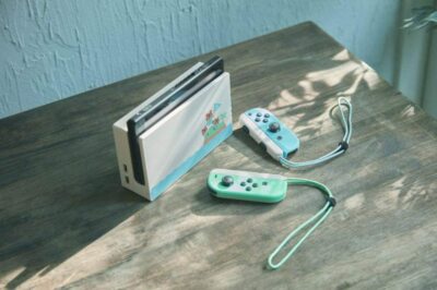 Nintendo Switch HAC-001 Animal Crossing New Horizon Special