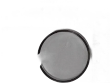 Gehl Manitou J562284 SNAP RING