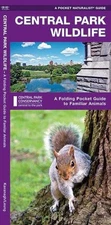 Central Park Wildlife: A Folding Pocket Guide to Familiar Species by James Kavan