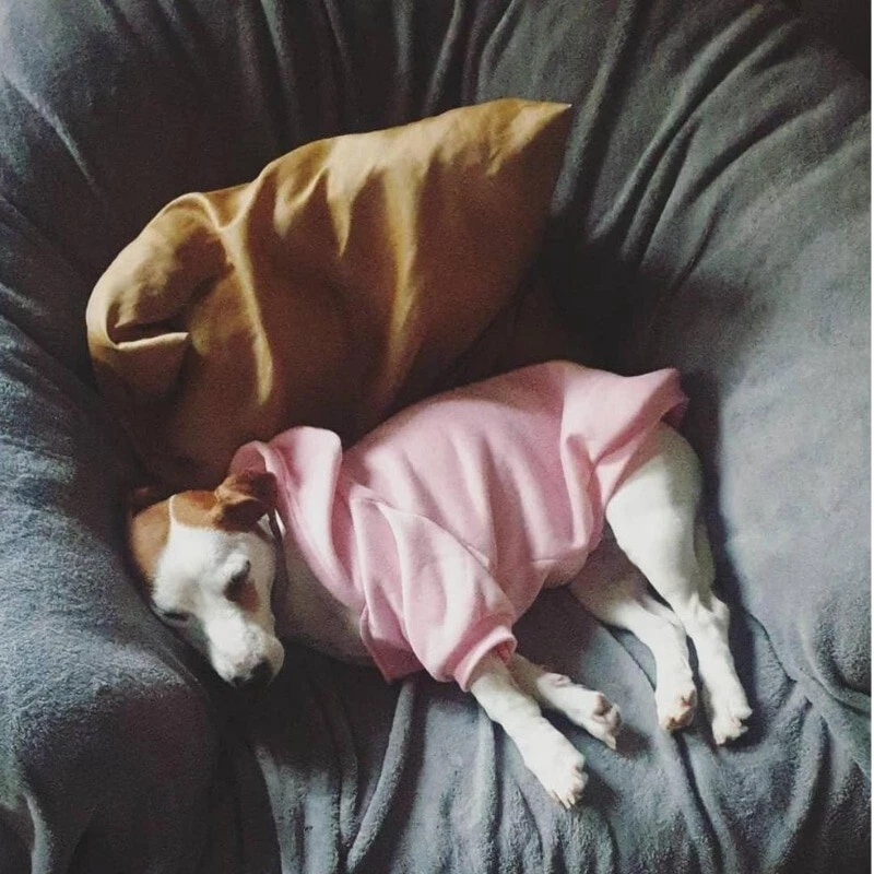 Pet Dog Hoodie The Dog Face Coat Warm Dog Vest Small Large Puppy Apparel Jacket - Image 3 of 4