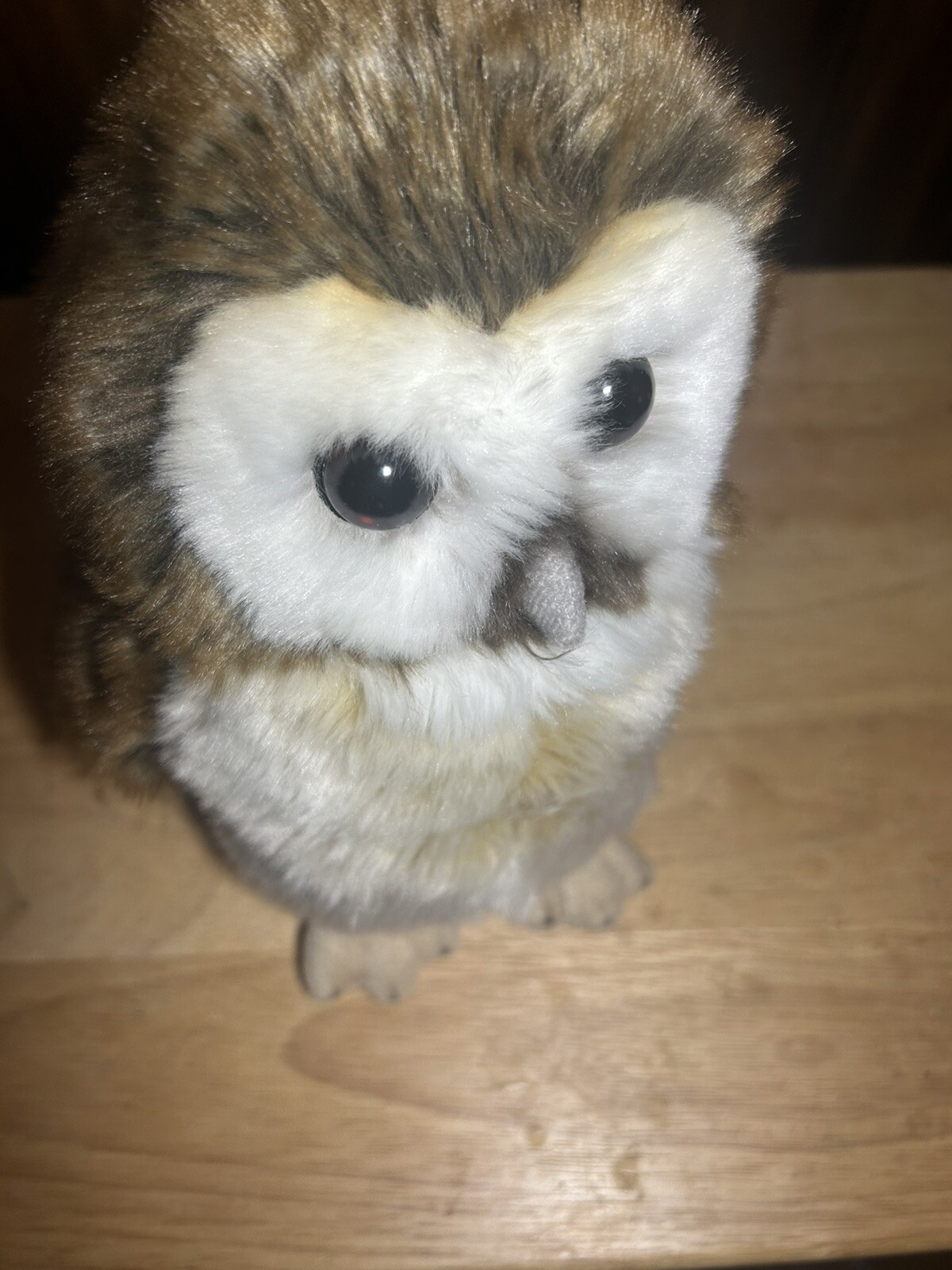 Harry Potter Plush Brown Owl 10