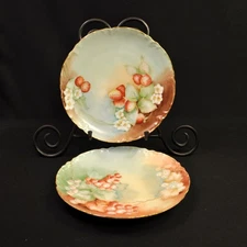 Haviland & Co 2 Salad Plates 7 1/2" Hand Painted Fruits w/Gold 1894-1931 Limoges