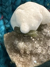 Carved in Stone Bear With Fish