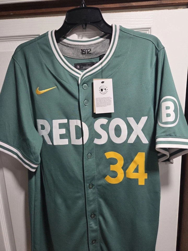 Nike David Ortiz City Connect Green Monster Red Sox Authentic