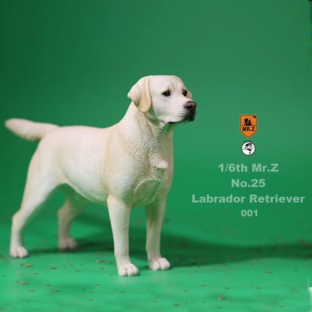 Mr.Z 1/6 Labrador Retriever Loyal Dog Pet Figure Animal Decor