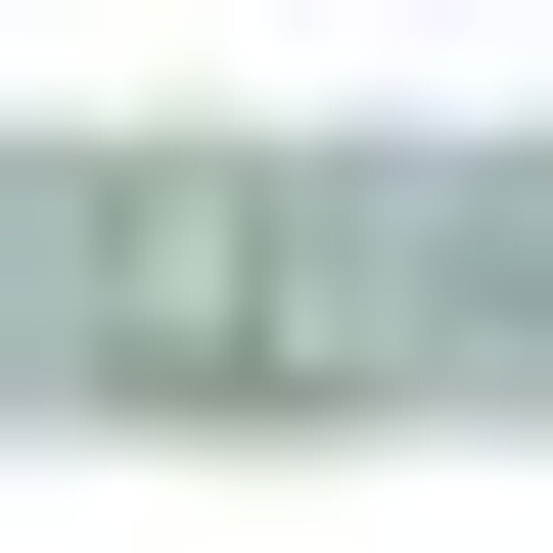 Lampada lampadina led diodo frigorifero Bosch Siemens Ricambio Originale 10024494 - Rossi Ricambi