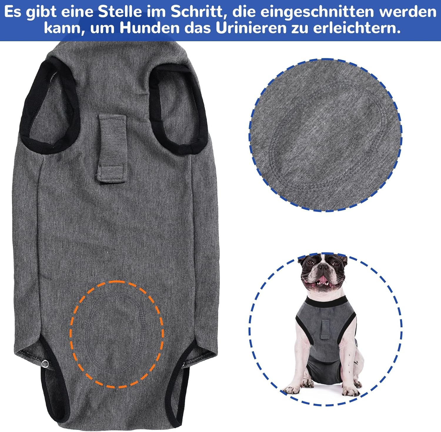 Bild 5 von 7