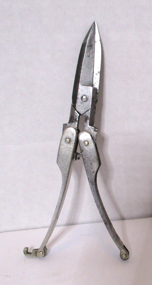 ANTIQUE FOLDING POCKET SCISSORS SHEARS COLLECTIBLE ~ GERMAN? CHECK IT ...