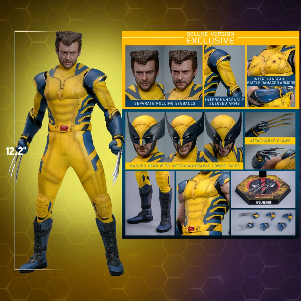 Wolverine Deluxe Edition 1/6 scale 12" Figure Hot Toys 9134872 MMS754 Marvel - Image 2 of 4