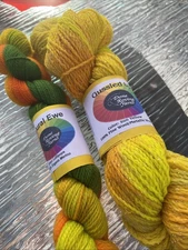 Done Roving  Hand Painted Superwash Merino X2