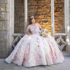 Pink Ball Gown Quinceanera Dresses Flowers Appliques Beads Sweet 16 Dress Corset
