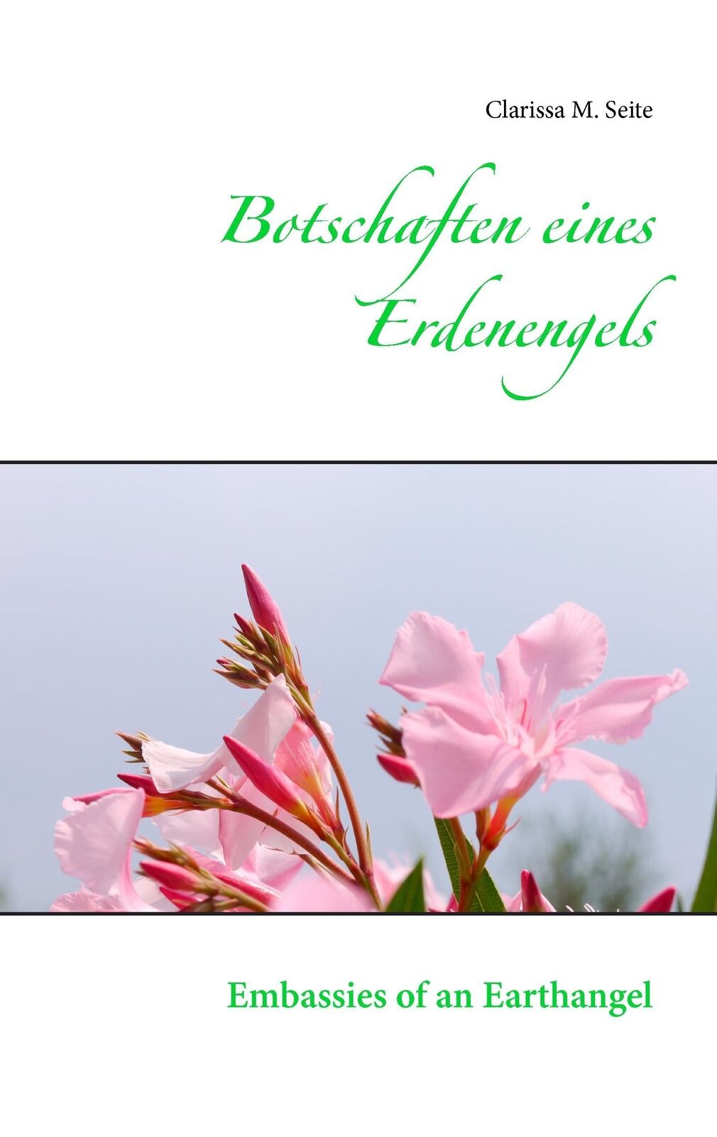 Thumbnail - Botschaften Eines Erdenengels | Buch | 9783741294587