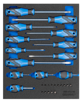 Gedore 2005 CT2-2160 Schraubendreher-Satz In Check-Tool-Modul, 15-Teilig