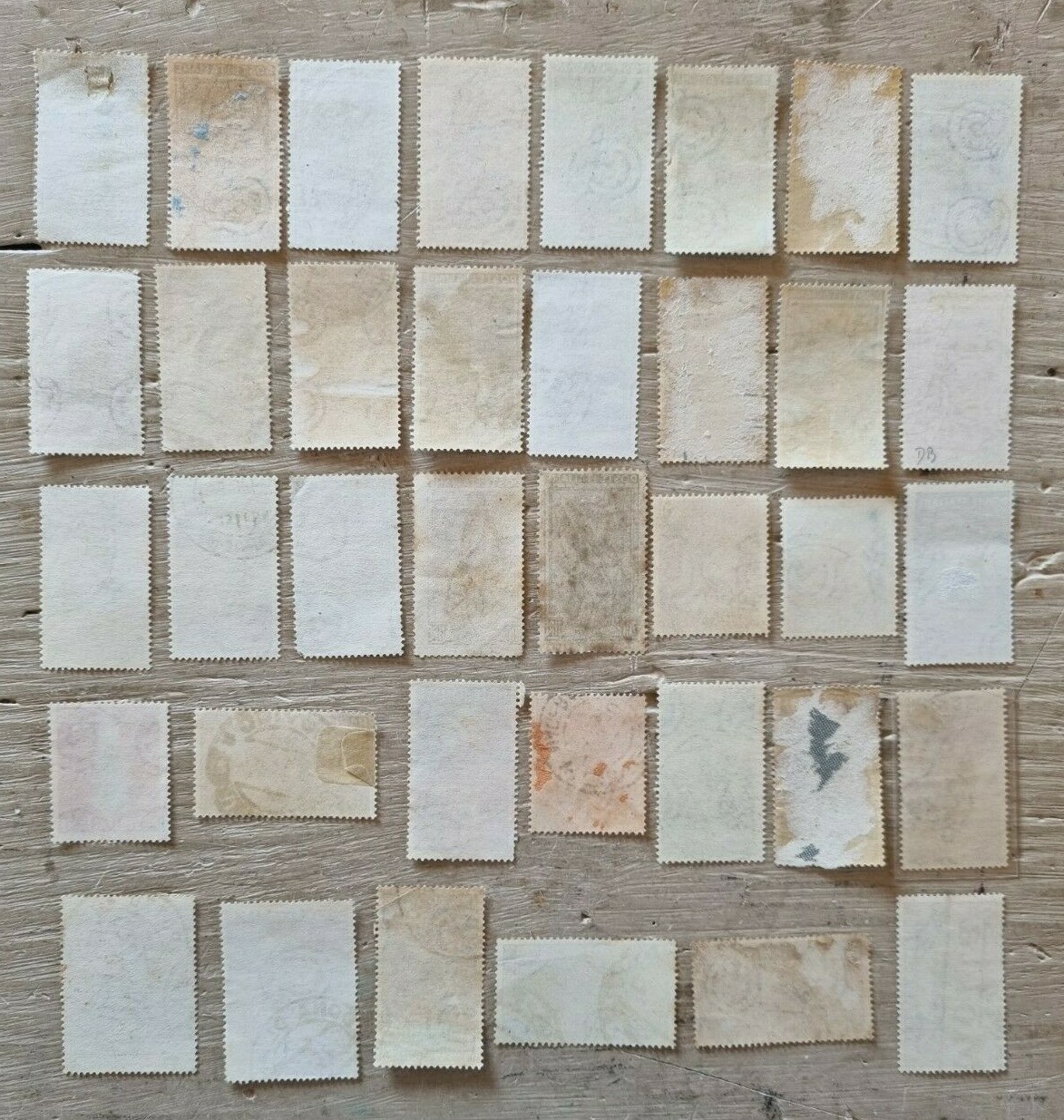 Foto 2 di 2