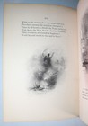 Picture 20 of 21