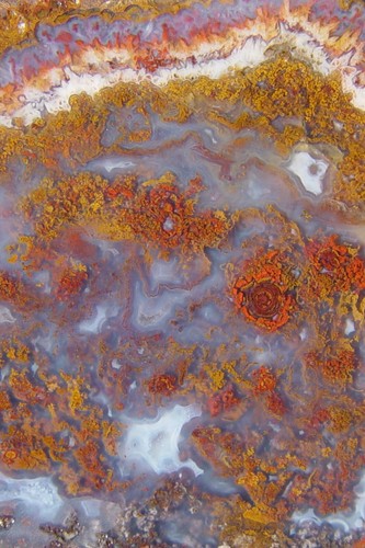 Losa lapidaria de ágata musgo rojo y dorado 1381 - Imagen 7 de 10