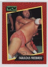 1991 Impel WCW Fabulous Freebirds Jimmy Garvin Michael Hayes #122 d7j