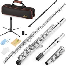 Closed Hole 16 Keys Flute for Beginner Kids Student with Cleaning Kit, Stand,...