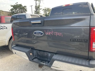 2015-2017 FORD F150 Rear Tailgate Tail Gate J7 Gray w/ Folding Step Camera 97659