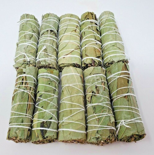 10 PACK Eucalyptus Sage Smudge Bundle 4"+ House Cleansing Negativity Removal - 第 2/9 張圖片