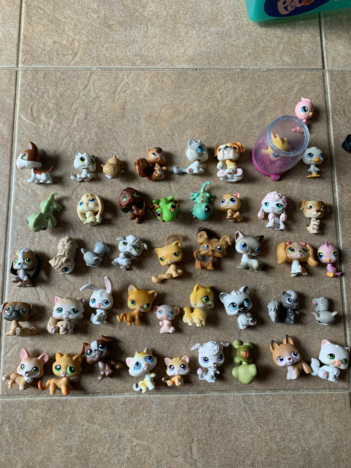 Foto 1 di 6