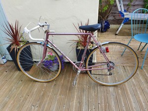 raleigh reynolds 531