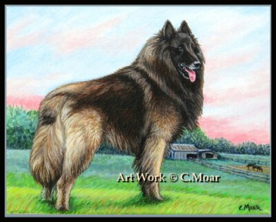 Belgian Shepherd Tervuren farm scene The Guardian Limited Edition Art Print 