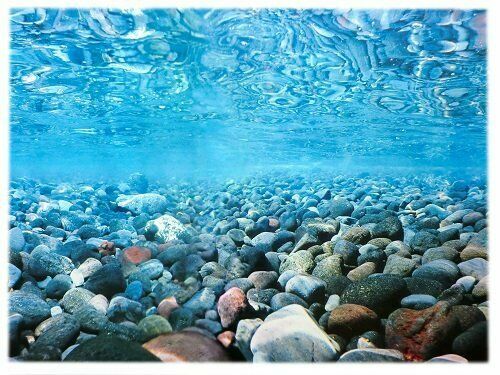 Rückwandfolie 170 cm x 60 cm (EUR 19,60 / m²) Aquarien Rückwand Hintergrund - Bild 1 von 1