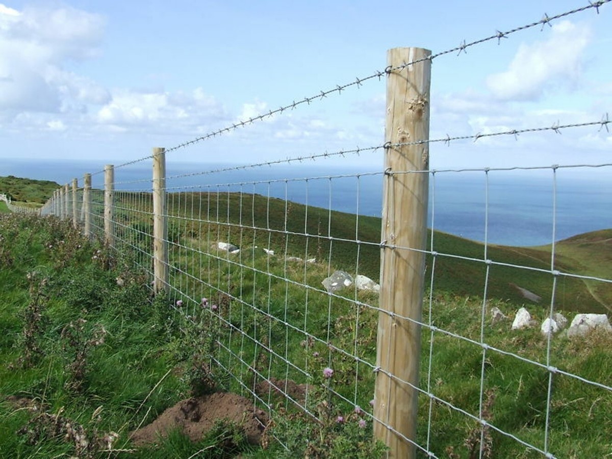 Barbed Wire Fence On Farm Agriculture An Old Barbed Wire Fence With