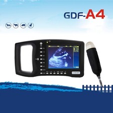 Scanner ecografico veterinario GDF-A4 per piccoli animali cani gatti pecore UK 220V