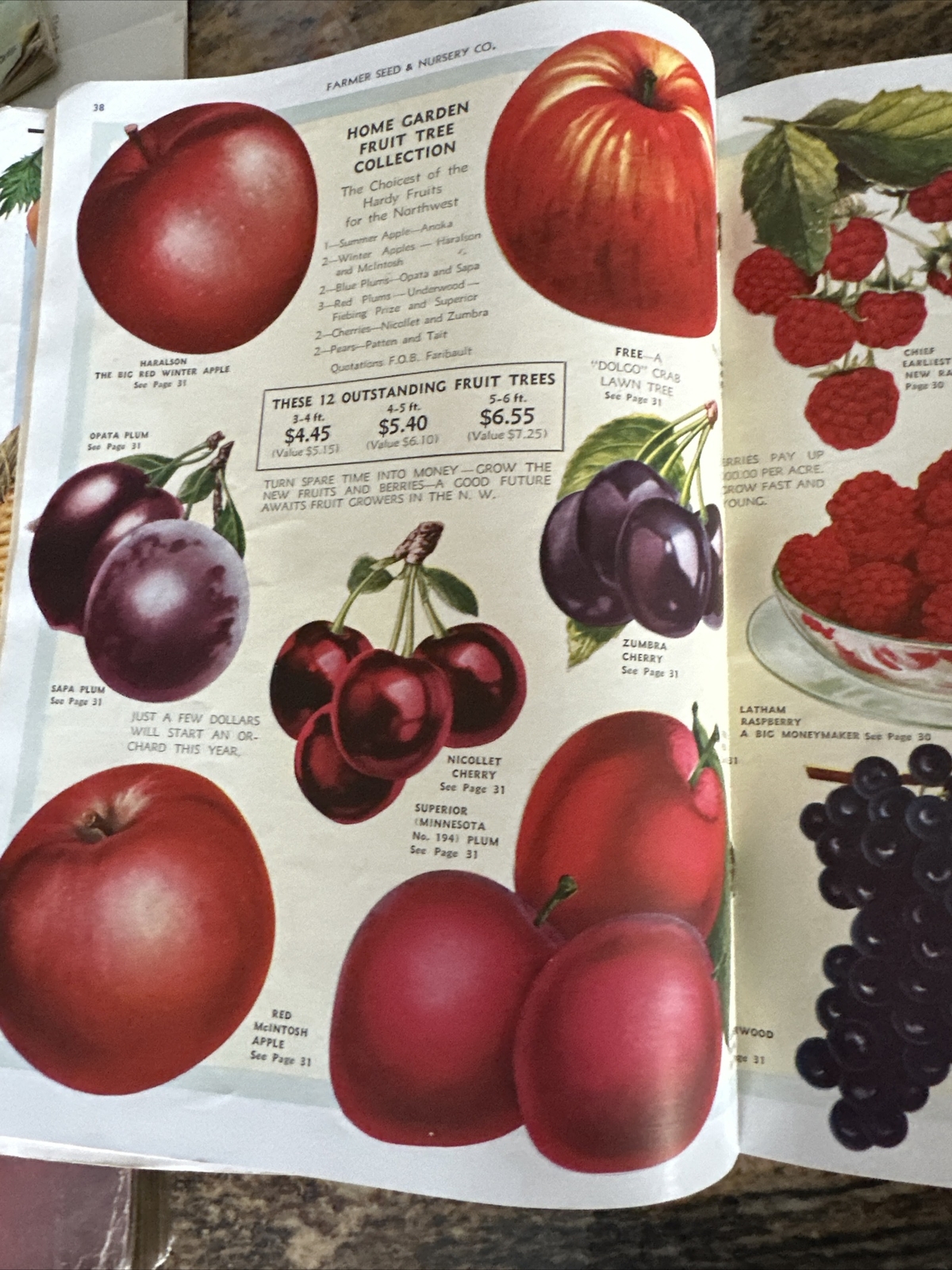 Farmer Seed and Nursery Co. 1933 catalog Fairbault Minnesota eBay