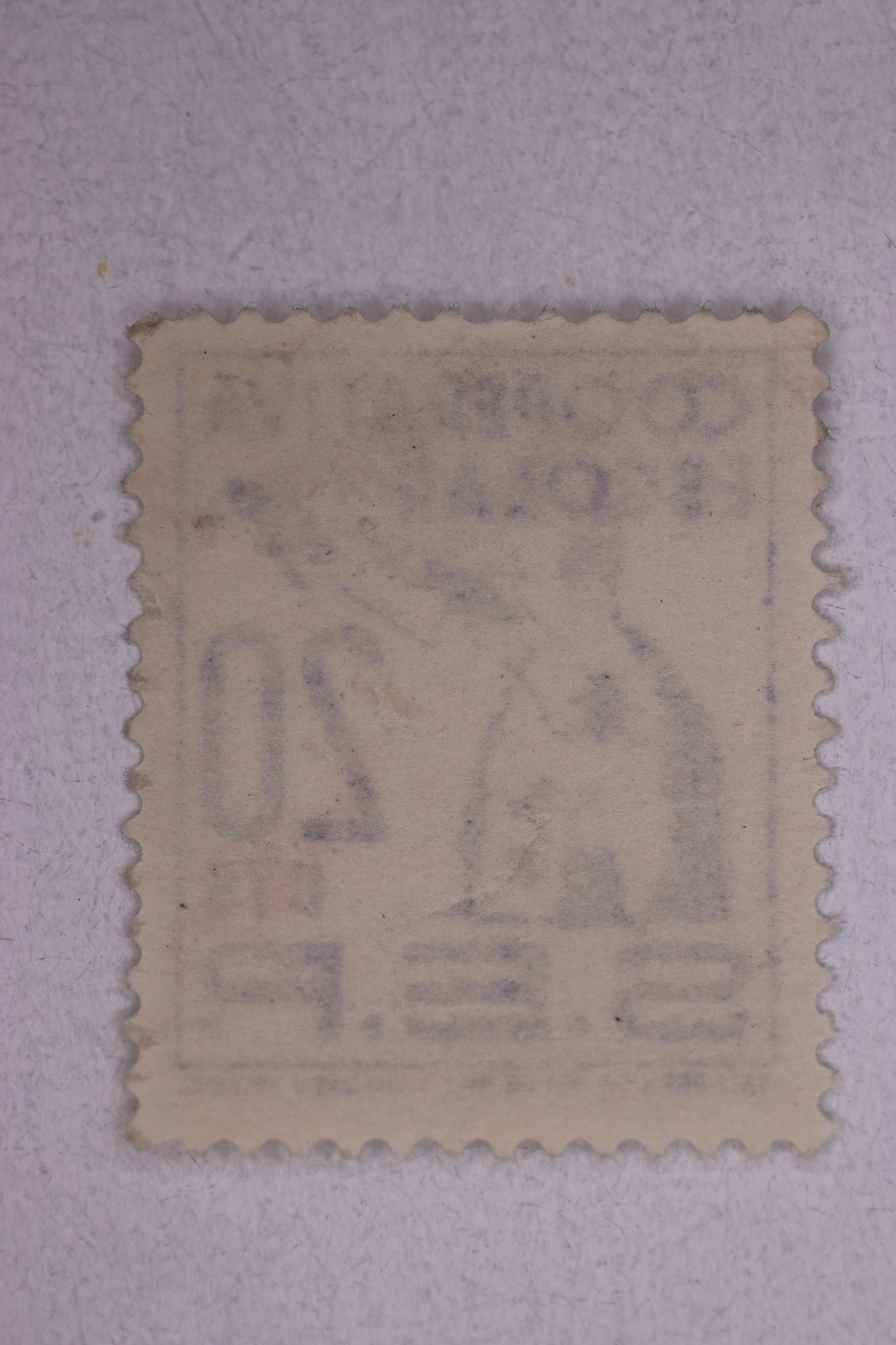 Picture 2