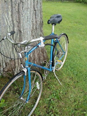 nishiki custom sport road bike