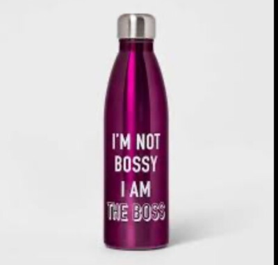 Room Essentials 17.5oz Double Wall Stainless Steel Vacuum Water Bottle Purple