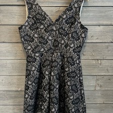 Blue Rain Black Lace Fit And Flare Mini Dress