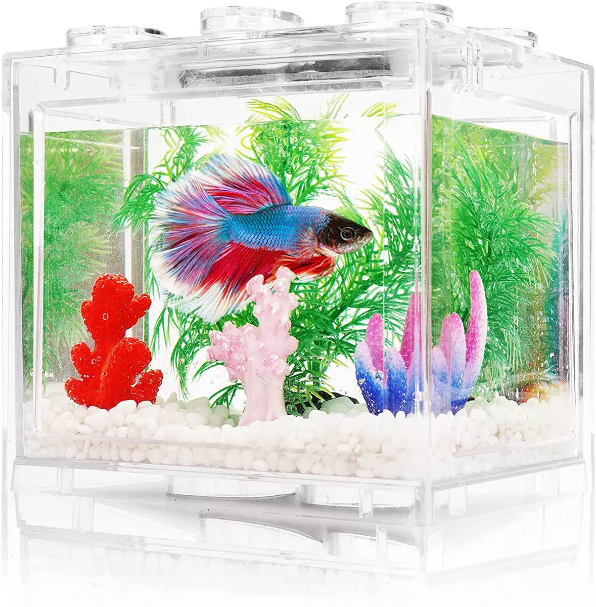 Small Betta Fish Tank, Aquarium Tank Kit with LED Lighting, 3/5 Gallon  Stackable