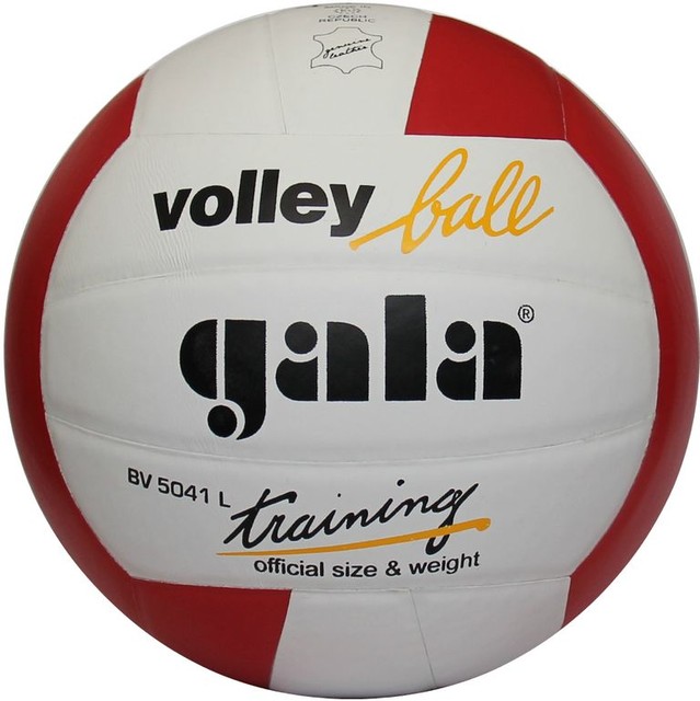 gala volleyball ball